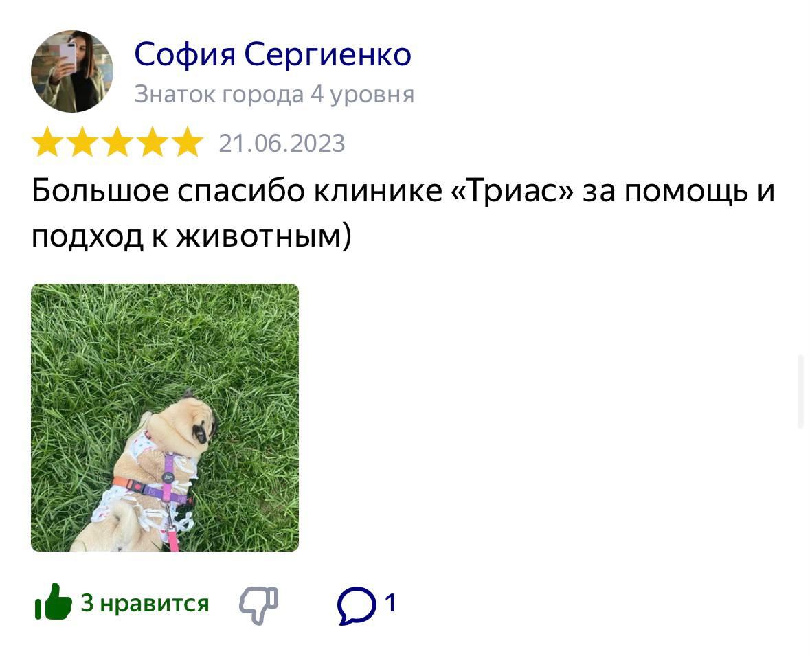 Отзывы о ветклинике Триас